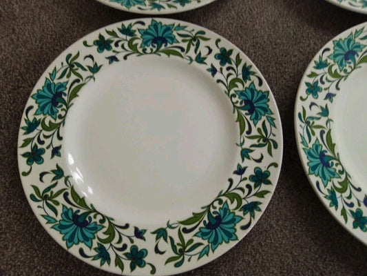 Midwinter Spanish Garden Marquis Of Queensberry Retro Dinner Plates X 4 - Helsby Vintage