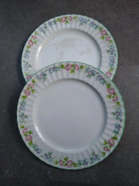 Royal Worcester English Garden Set Of 6 Dinner Plates 27cm - Helsby Vintage