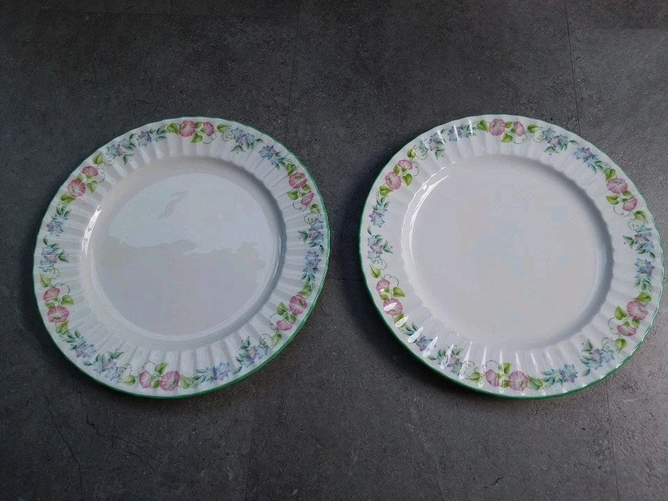 Royal Worcester English Garden Set Of 6 Dinner Plates 27cm - Helsby Vintage