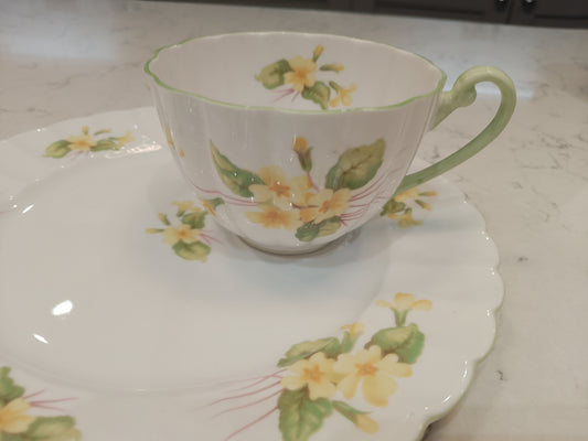 Shelley Primrose Cup and Rare Biscuit Saucer Plate - Helsby Vintage