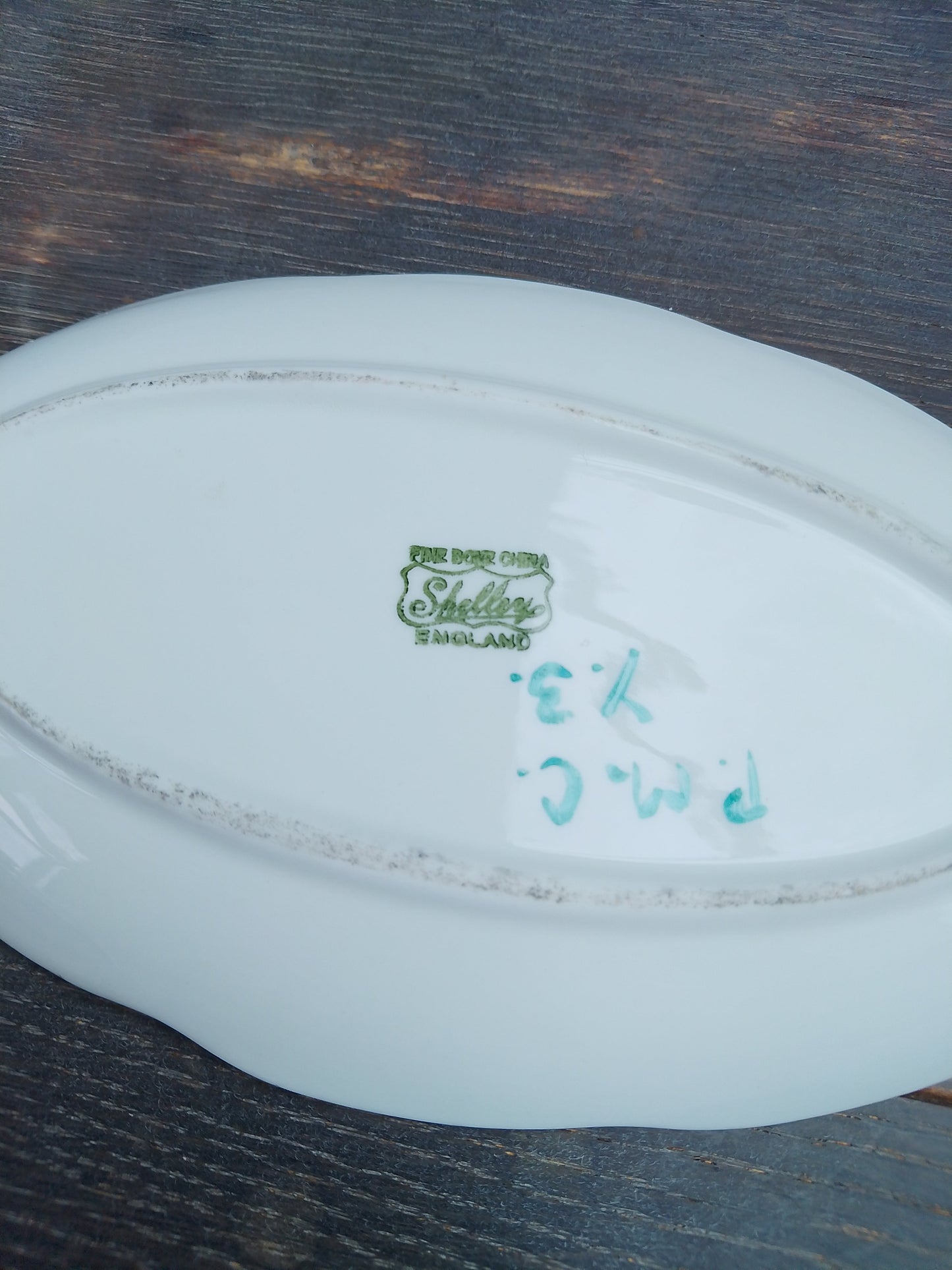 Shelley Oval Dish With Hand-painted Chicks 7.5" Unusual and Rare - Helsby Vintage