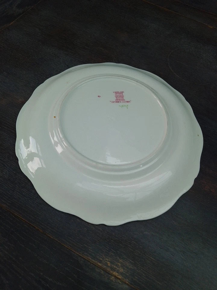 Spode Copeland Aster Dinner Plate 10.5" Vintage RARE - Helsby Vintage