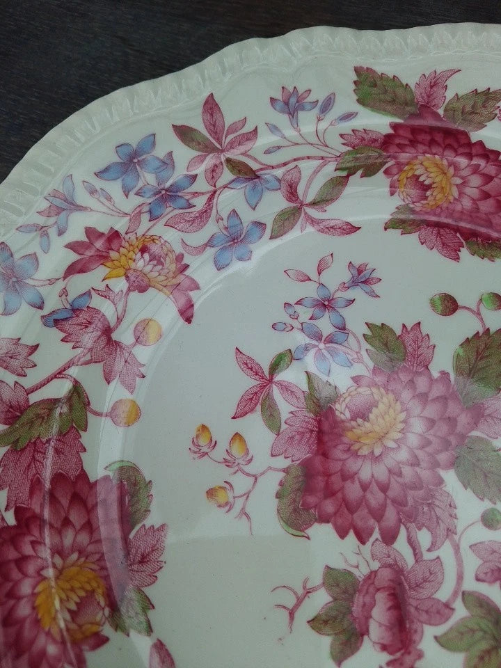Spode Copeland Aster Dinner Plate 10.5" Vintage RARE - Helsby Vintage