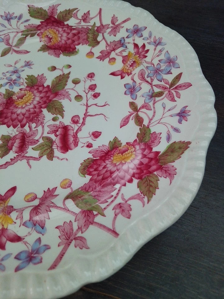 Spode Copeland Aster Dinner Plate 10.5" Vintage RARE - Helsby Vintage