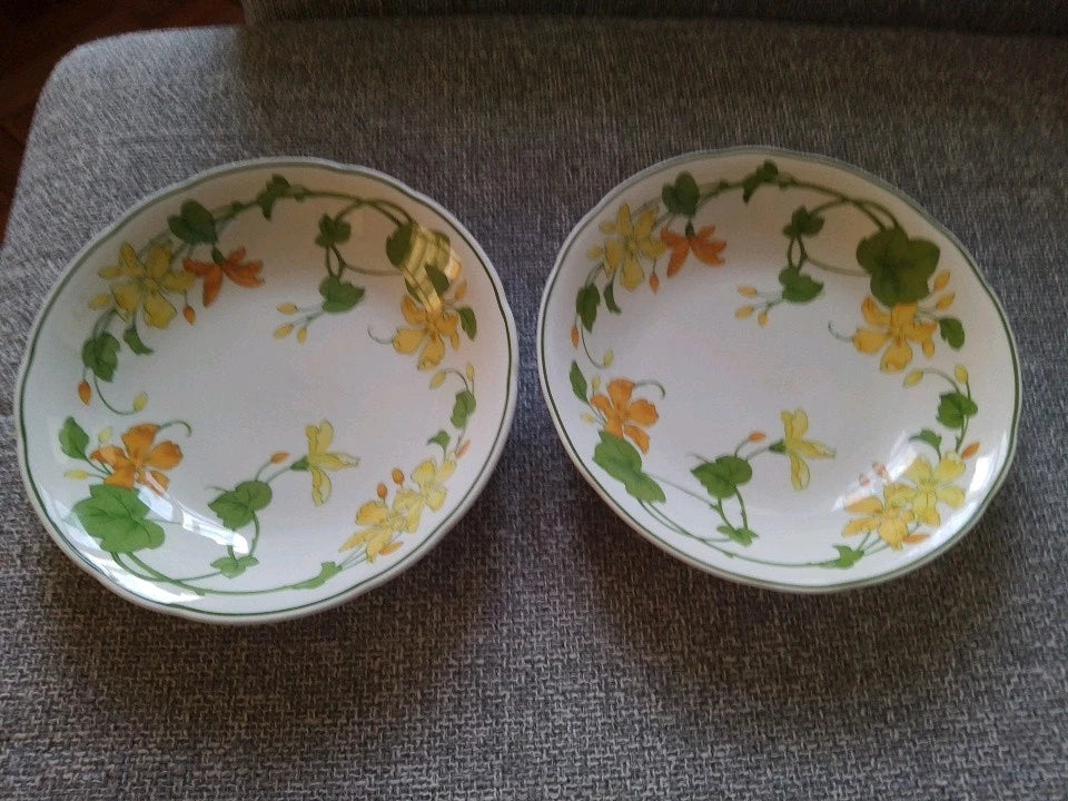 Villeroy & Boch Geranium Set Of 2 Dessert Soup Cereal Bowls Dishes 8 Inch - Helsby Vintage