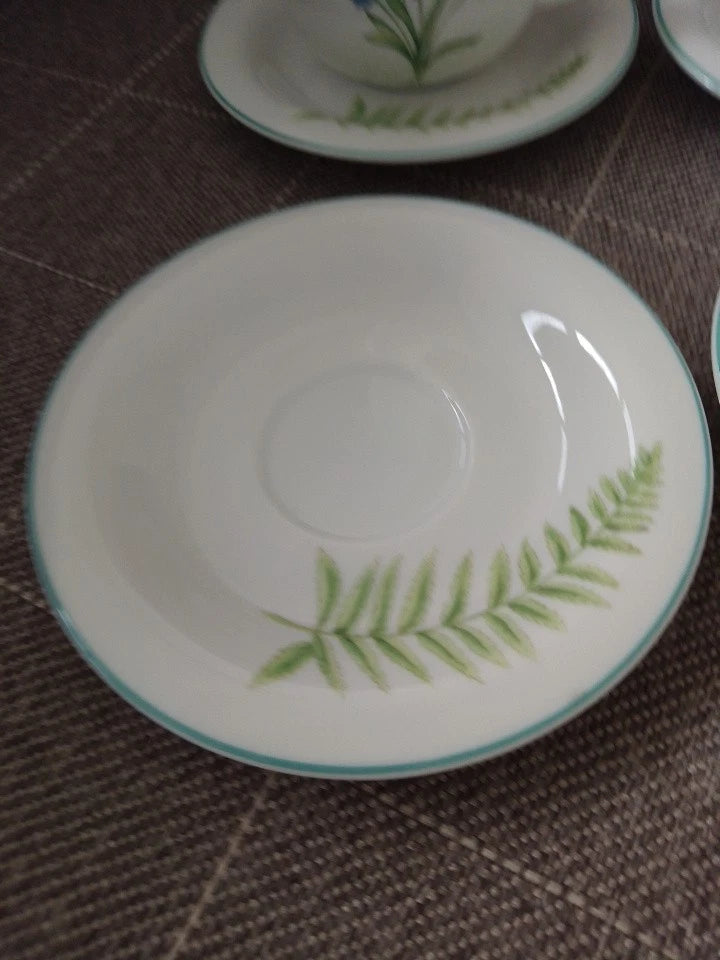Set Of 4 St Andrews Botanics Cups And Saucers Doulton Foliage Flowers Vintage - Helsby Vintage