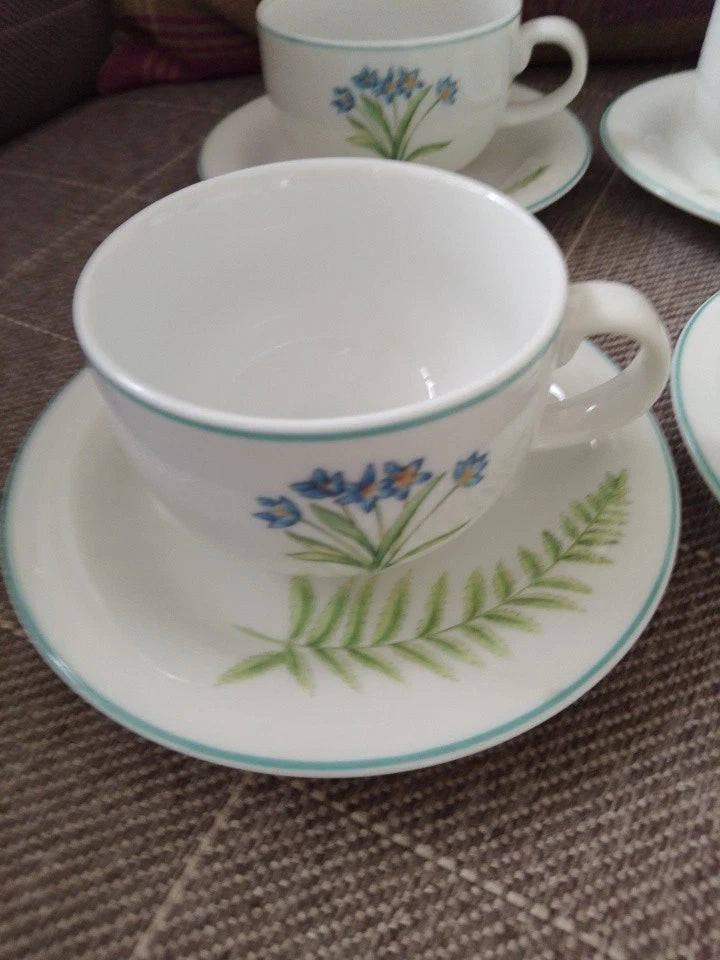 Set Of 4 St Andrews Botanics Cups And Saucers Doulton Foliage Flowers Vintage - Helsby Vintage