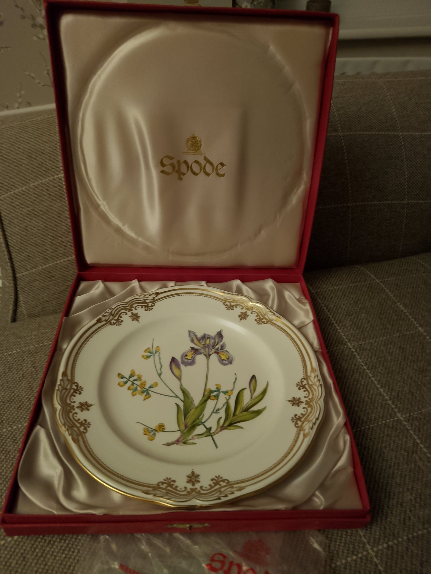 Spode Iris Sphaerolobium Stafford Flowers No 1 Plate 9.25" 23.5cm  Original Box - Helsby Vintage