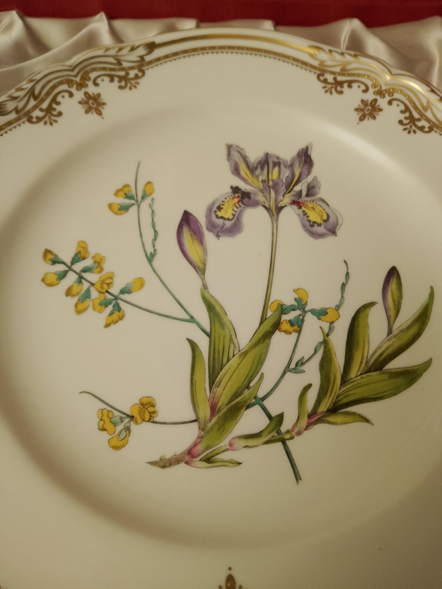 Spode Iris Sphaerolobium Stafford Flowers No 1 Plate 9.25" 23.5cm  Original Box - Helsby Vintage