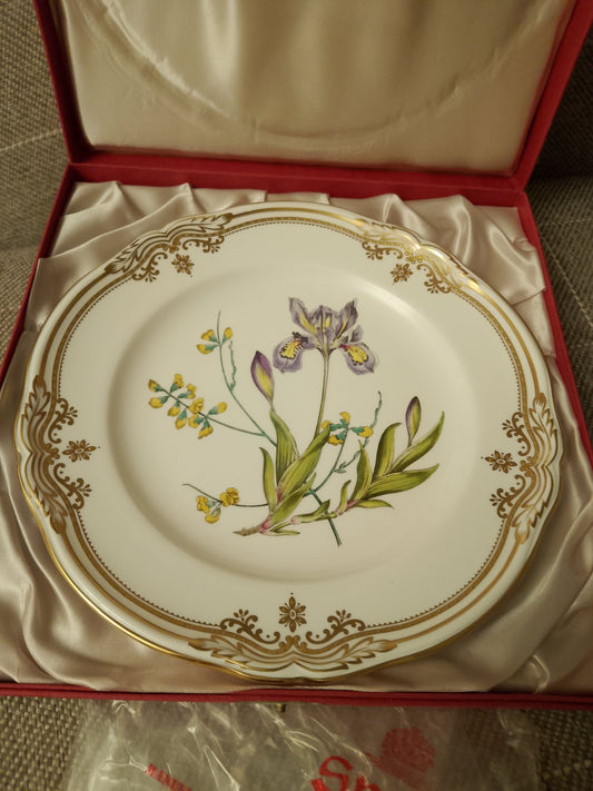 Spode Iris Sphaerolobium Stafford Flowers No 1 Plate 9.25" 23.5cm  Original Box - Helsby Vintage