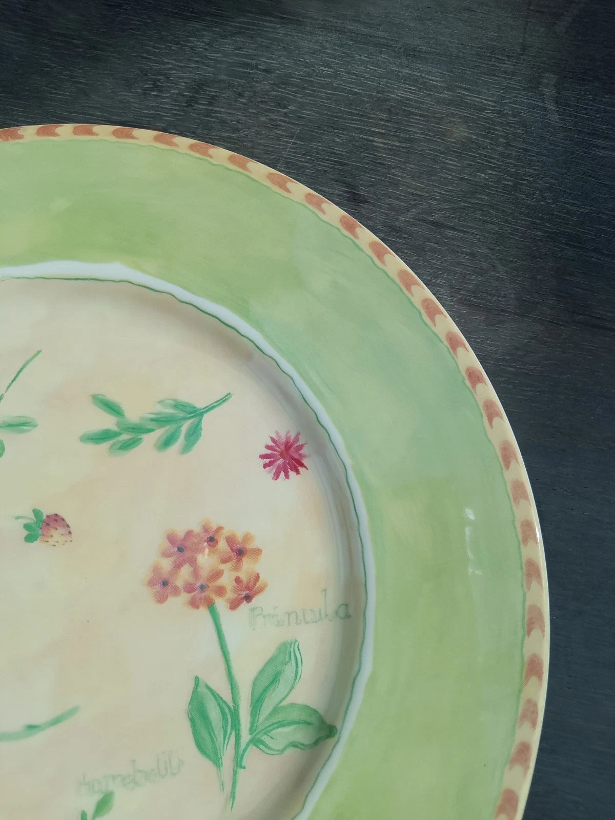 Royal Stafford Gardeners Journal Dinner Plate 11 Inches