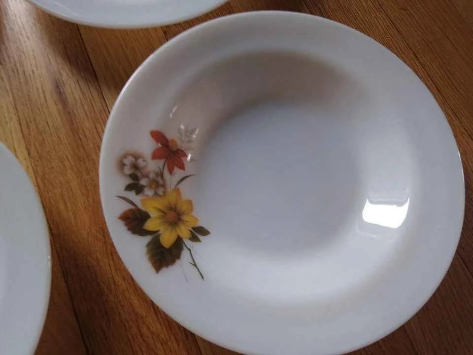 Vintage Set Of 6 Retro 1970s JAJ Pyrex Autumn Glory Round Soup/Pasta Bowls 8.5"