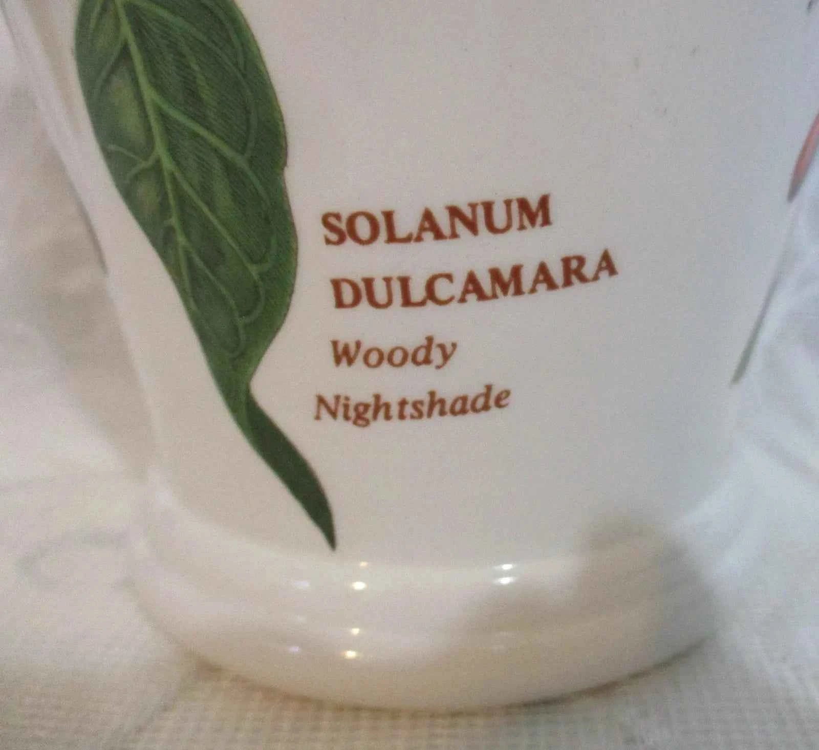 Portmeirion The Botanic Garden Vase Woody Nightshade 1972 16.5cm 7" Tall VGC