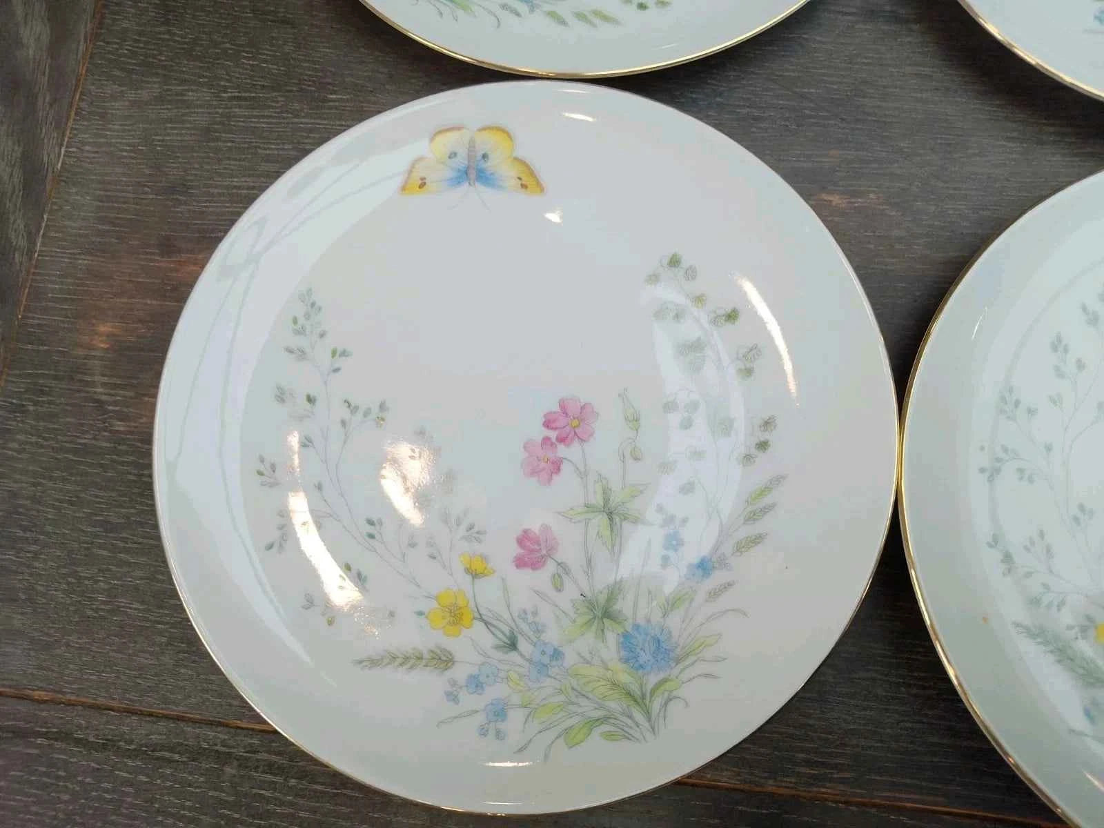 6 x Seltmann Weiden Liane Floral & Butterfly Bavaria 17cm Side Plates W Germany