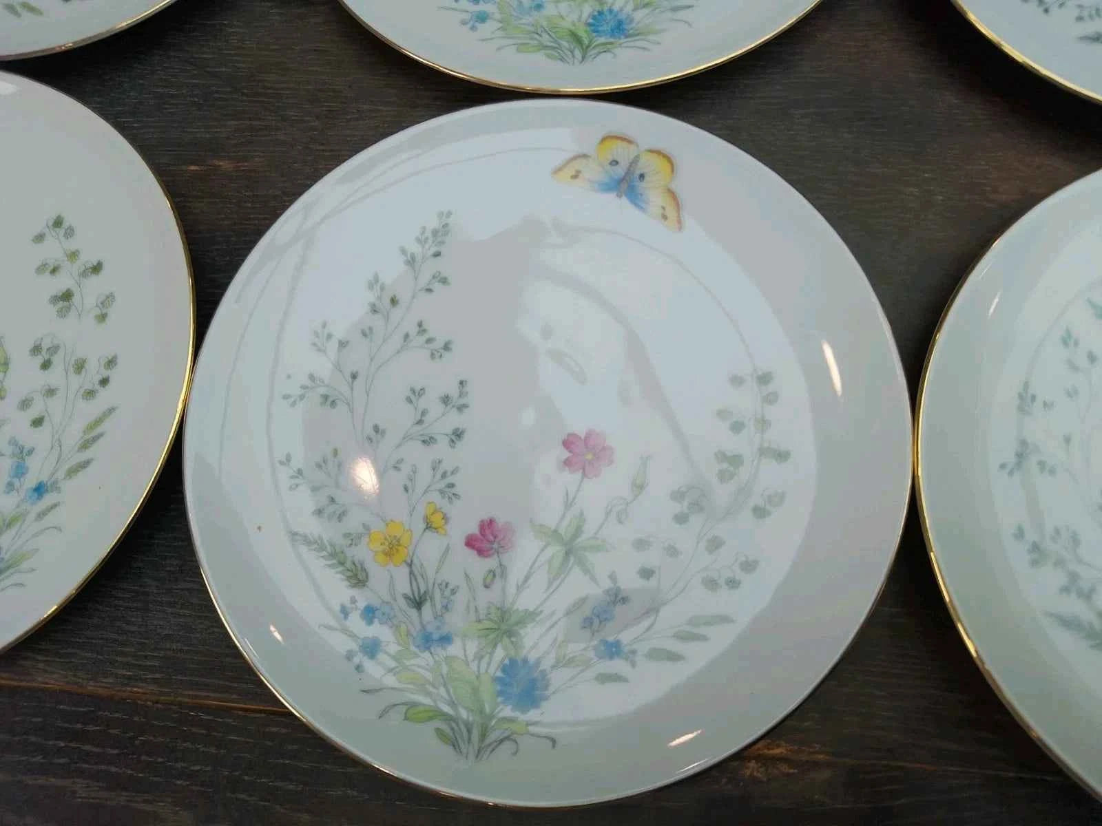 6 x Seltmann Weiden Liane Floral & Butterfly Bavaria 17cm Side Plates W Germany