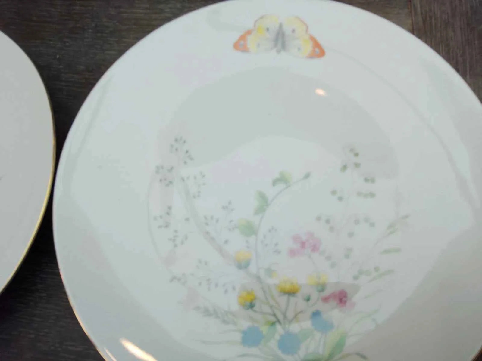 6 x Seltmann Weiden Liane Floral & Butterfly Bavaria 24cm Dinner Plates Germany