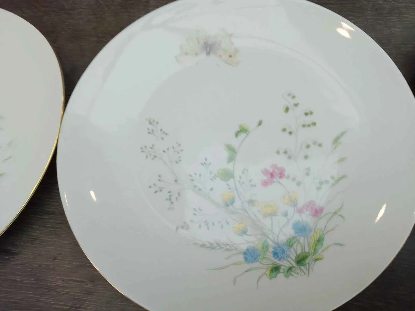 6 x Seltmann Weiden Liane Floral & Butterfly Bavaria 24cm Dinner Plates Germany