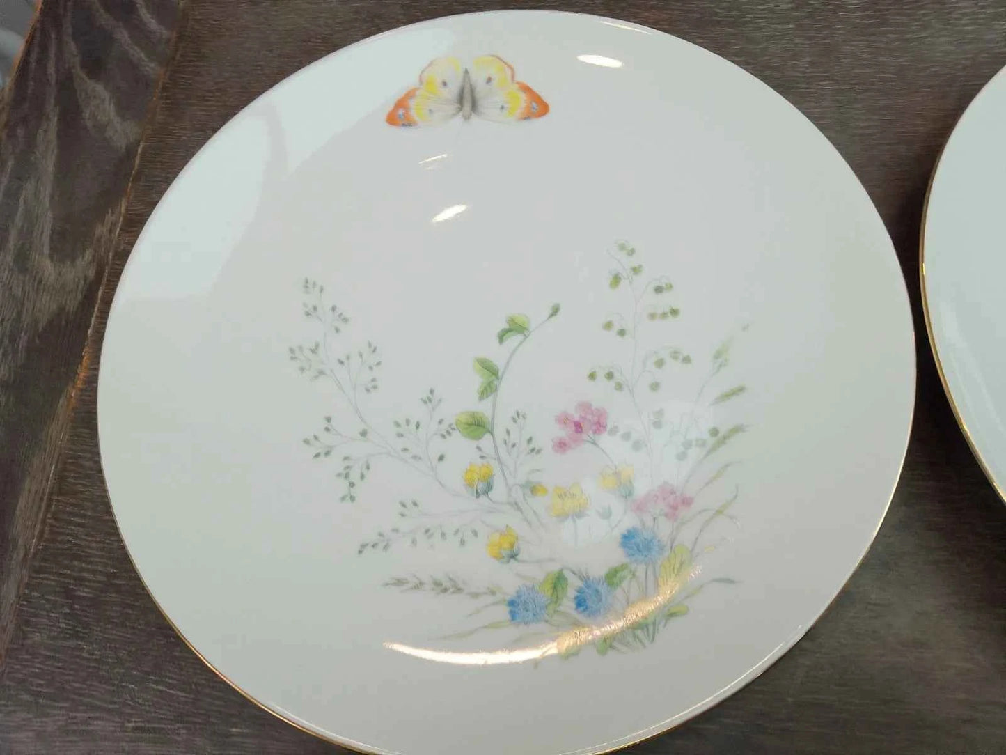 6 x Seltmann Weiden Liane Floral & Butterfly Bavaria 24cm Dinner Plates Germany