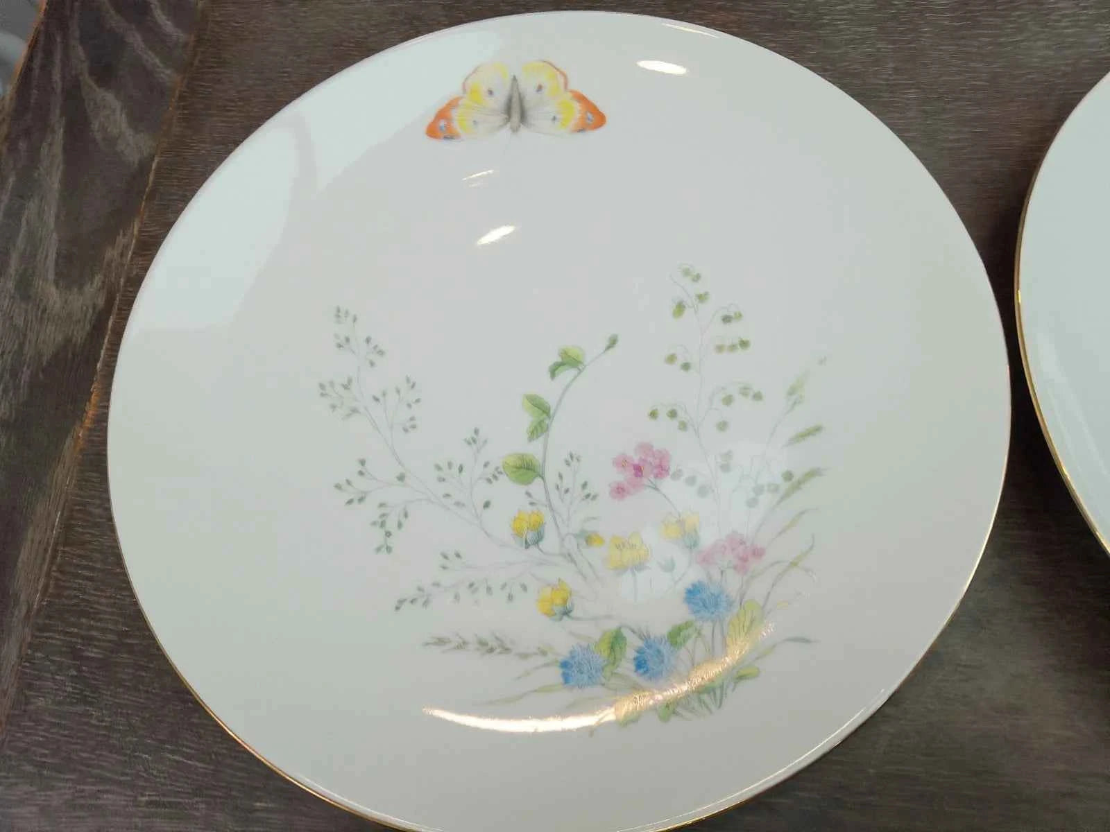 6 x Seltmann Weiden Liane Floral & Butterfly Bavaria 24cm Dinner Plates Germany