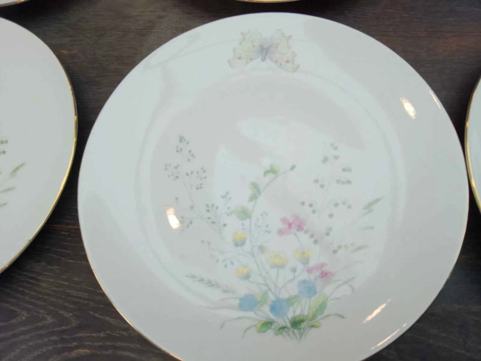 6 x Seltmann Weiden Liane Floral & Butterfly Bavaria 24cm Dinner Plates Germany