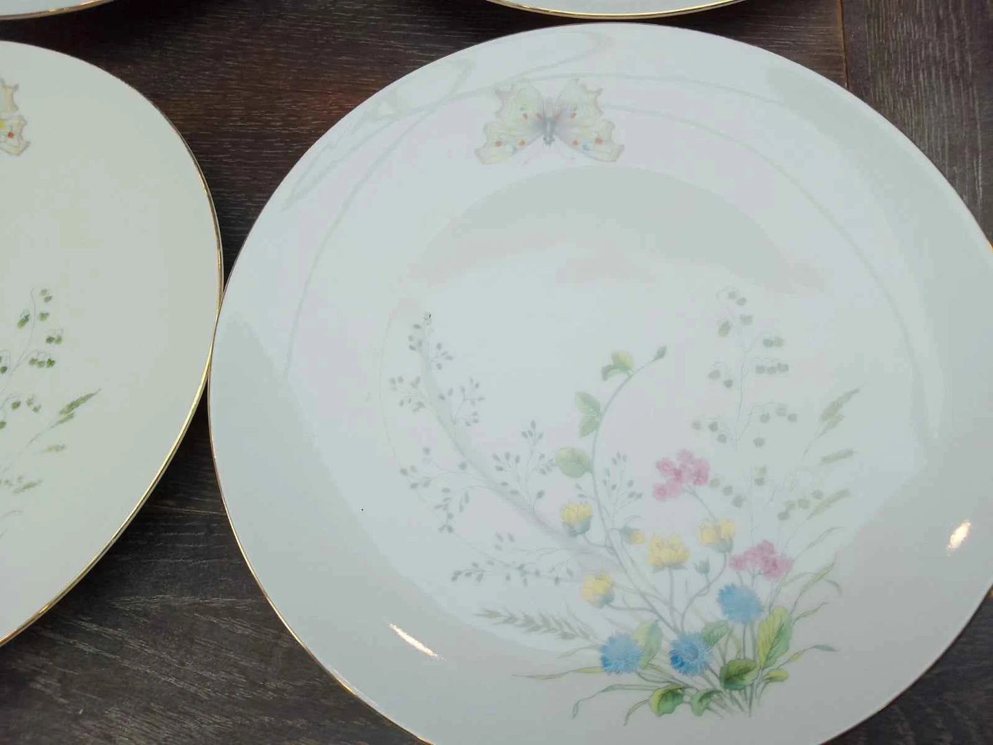 6 x Seltmann Weiden Liane Floral & Butterfly Bavaria 24cm Dinner Plates Germany