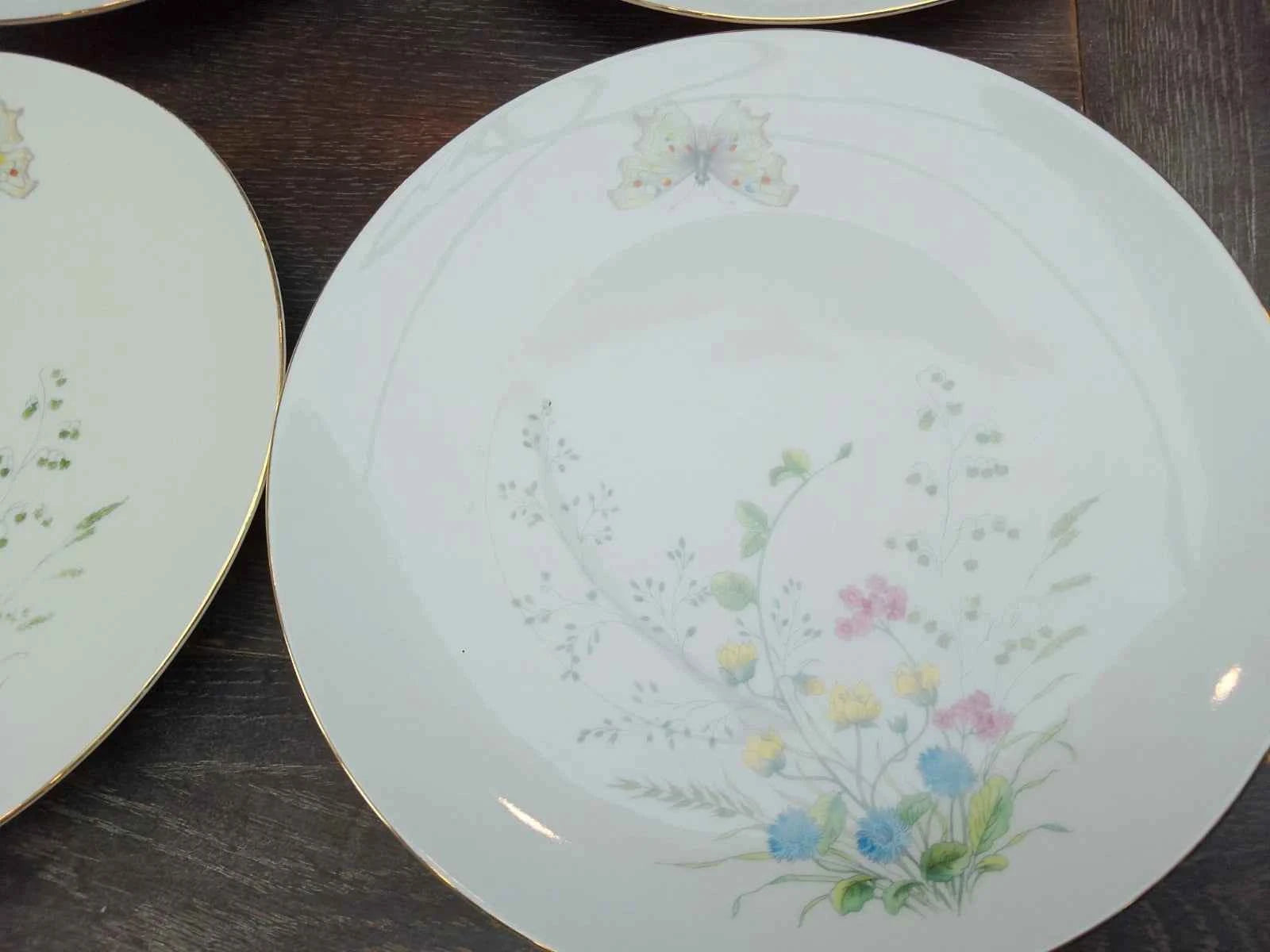 6 x Seltmann Weiden Liane Floral & Butterfly Bavaria 24cm Dinner Plates Germany