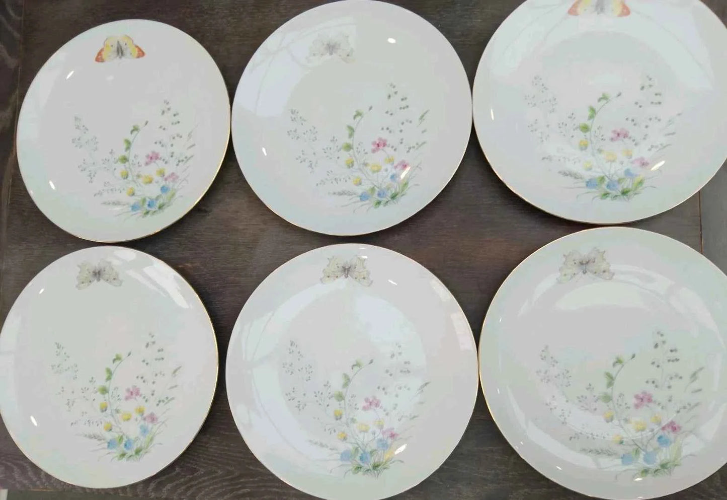6 x Seltmann Weiden Liane Floral & Butterfly Bavaria 24cm Dinner Plates Germany