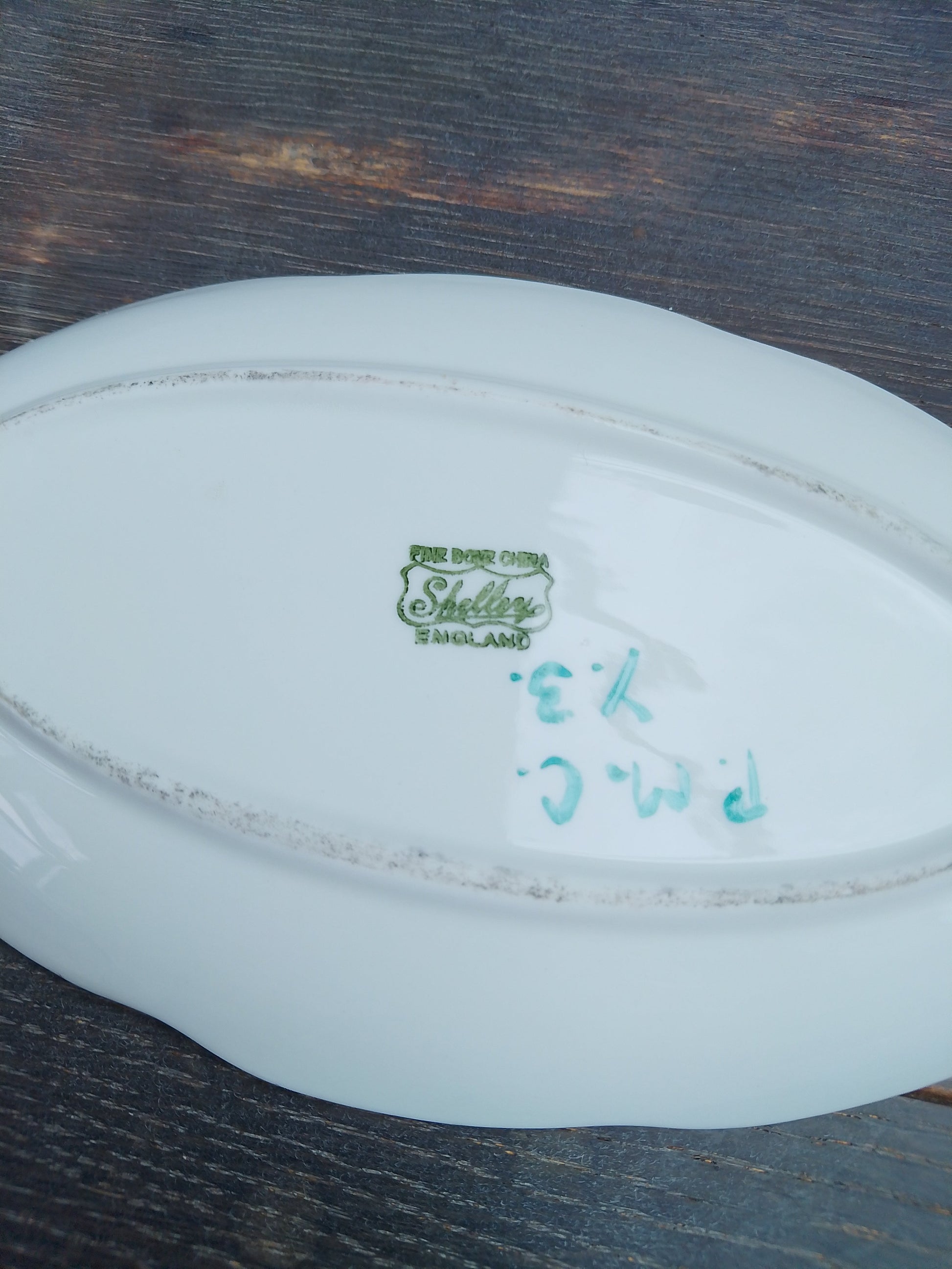 Shelley Oval Dish With Hand-painted Chicks 7.5" Unusual and Rare - Helsby Vintage