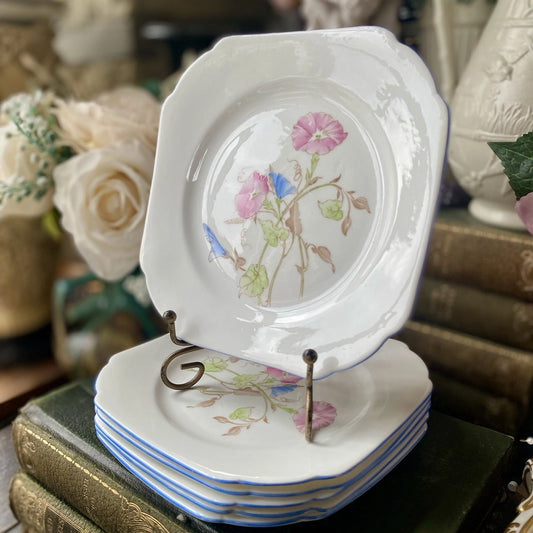 Shelley vintage side plates with floral design and blue rim detailing displayed on a stand